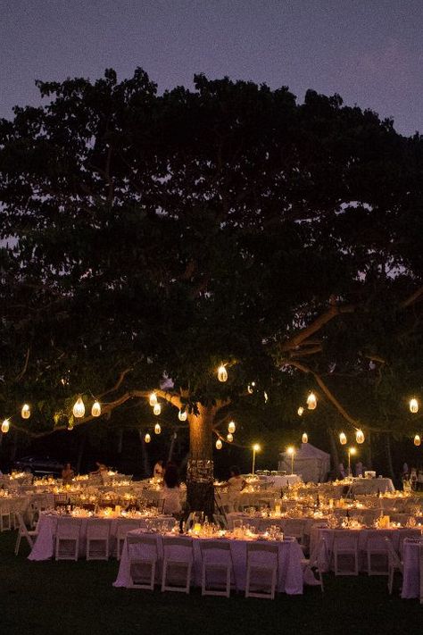 Romantic lanterns in a tree Lanterns In Trees, Rapunzel Wedding Theme, Wedding Ideas 2024, Rapunzel Wedding, Tangled Wedding, Decorations On A Budget, Dream Wedding Reception, Unique Themes, Forest Theme Wedding