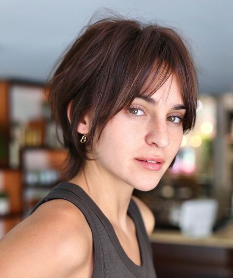 Feathered Chocolate Brown Bixie Growing Out A Pixie, Long Fine Hair, Modern Bob Hairstyles, 90s Haircuts, Fine Hair Cuts, Brunette Pixie, Hair Cut Styles, Nice Hairstyles, Short Choppy Haircuts