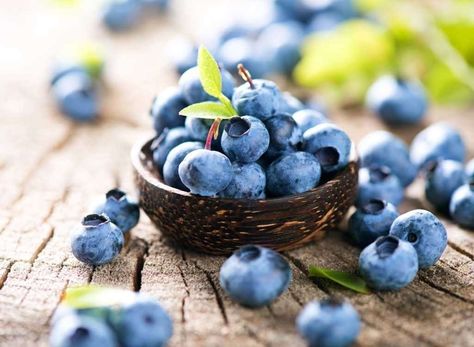 The Best Foods to Boost Brainpower - Shutterstock Highbush Blueberry, Penyakit Jantung, Fabric Pillow, Wild Blueberries, Brain Food, Lighten Skin, Ceramic Candle, Healthy Fruits, Lower Blood Pressure