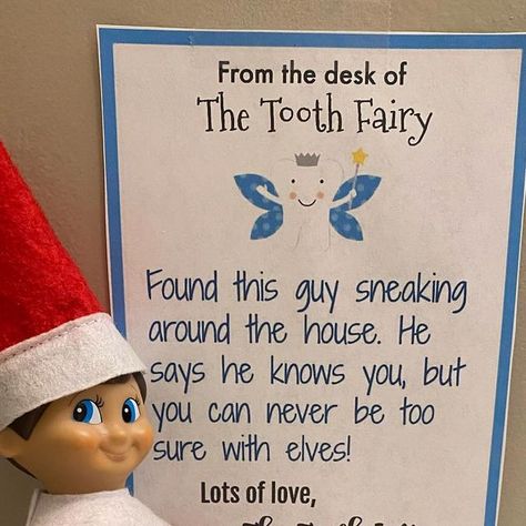 Trixie & Max Elf on Instagram: "When the tooth fairy and the elf collide…. #elfontheshelf @mamacheaps" Elf With Tooth Fairy, Elf On The Shelf And Tooth Fairy Ideas, Dentist Elf On The Shelf, Elf On The Shelf Arrival Ideas 2022, Elf On The Shelf Meets Tooth Fairy, Tooth Fairy, The Elf, Wonderful Time, Elf On The Shelf