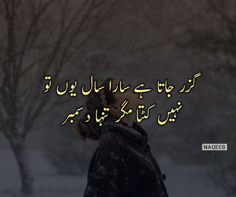 Welcome December Poetry In Urdu, December Shayari Urdu, December Shayari, December Poetry, Welcome December, December Quotes, Shayari Urdu, Sunflower Pictures, Sound Therapy