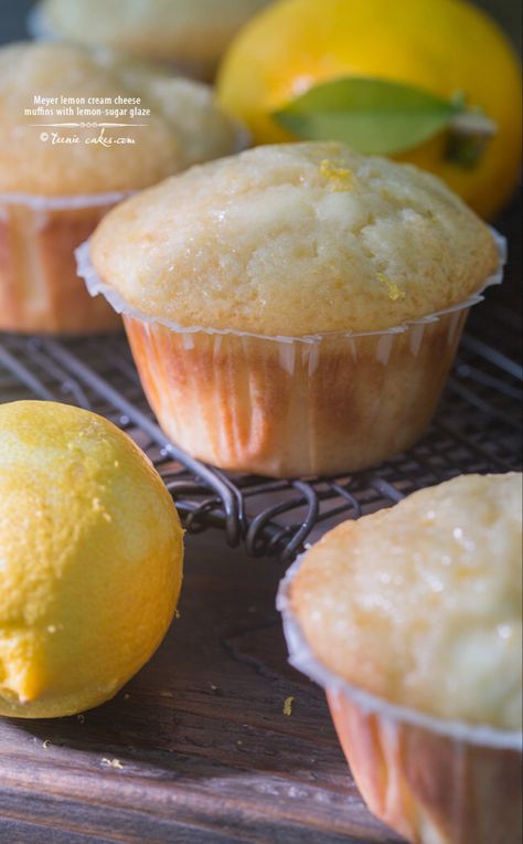 Lemon Cream Cheese Muffins, Meyer Lemon Recipes, Lemon Seasoning, Citrus Recipes, Lemon Cream Cheese, Homemade Breads, Cake Muffins, Cream Cheese Muffins, Stay Hungry