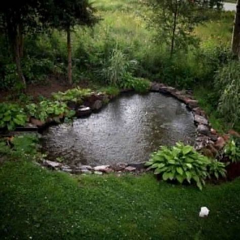 19+ Gorgeous Backyard Ponds Water Garden Landscaping Ideas - lmolnar Backyard Ponds And Waterfalls, Backyard Ponds, Kolam Koi, Taman Air, Pond Garden, Garden Pond Design, Small Pond, Diy Pond, Pond Ideas