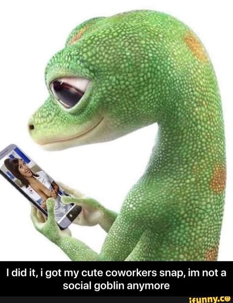 Geico Lizard, Funny Animal Memes, Daily Memes, Edgy Memes, Gecko, Animal Memes, Popular Memes, Reaction Pictures, Dankest Memes