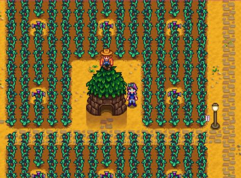 Junimo huts can be used for trellis crops, which will be efficient (especially for hops) but will not get you any Farming skill points. Stardew Junimo Hut Layout, Stardew Valley Farm Layout Junimo Hut, Junimo Hut Stardew Valley, Stardew Valley Junimo Hut Layout, Stardew Beehive, Junimo Hut Layout, Stardew Spring Crops, Stardew Valley Spring Crops Profit, Stardew Valley Farms