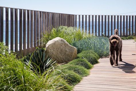 Coastal Landscaping Ideas Beach Gardens, Outdoor Landscape Design, Australian Garden Design, Contemporary Landscape Design, Landscape Design Garden, Coastal Landscaping, Australian Native Garden, Contemporary Garden Design, Juan Les Pins