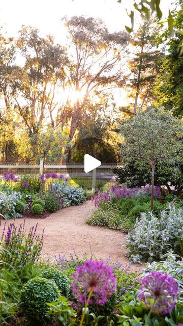 Home Beautiful on Instagram: "Dive deeper into this cottage garden 🌾
 
The story of Oak Cottage began when city girl Virginia was seduced by the Macedon countryside. Every time she would visit friends who’d settled in the area, “it would feel like this beautiful escape from the city.” With charm in spades and more than enough room for green-thumbed tinkering, this adorable cottage stole Virginia’s heart, and ours too. 

Meander through this blowsy, layered garden designed by the incredibly talented @t.p_gardens via the link in our bio now. 

Writer: @shelleytustin 
Photography: @gemmola 
Landscape design: @t.p_gardens 
Location: @oakcottage.macedon 
Video: @gemmola @oakcottage.macedon @t.p_gardens 
 
#countrygarden #whimsicalgarden #cottage #cottagegarden #cottageflowers" Layered Garden, More Than Enough, Whimsical Garden, Country Gardening, City Girl, Cottage Garden, Landscape Design, Reno, Garden Design