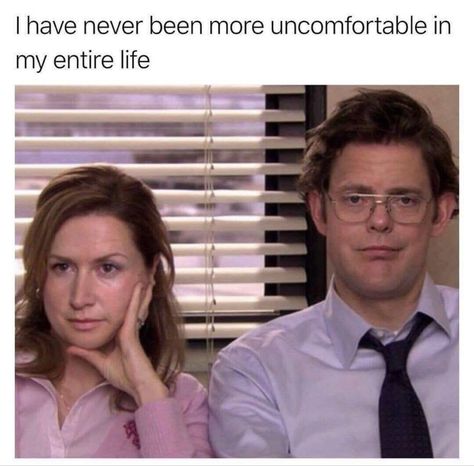 Office Memes Humor, The Office Memes, Pam The Office, Best Of The Office, Office Jokes, The Office Show, Worlds Best Boss, Funny Looking Cats, Office Memes