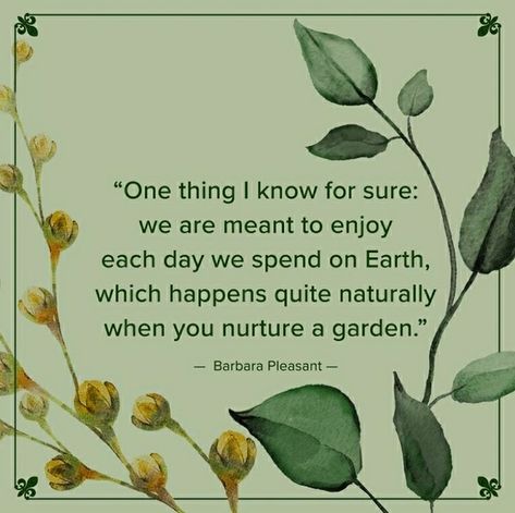 Vegetables Quote, Landscaping Quotes, Growing Vegetables In Pots, Garden Works, Garden Quotes, Garden Journal, Creative Gardening, Flower Quotes, Vegetable Gardening