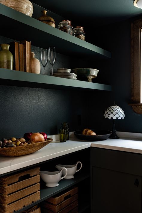 Small kitchen pantry in a dark green matte finish. Super cute Scandinavian Outdoor Living, Brown Kitchen Ideas, Light Green Kitchen, Painted Pantry, Green Kitchen Accessories, Custom Kitchen Remodel, Dark Green Kitchen, House Pantry, Dark Green Walls