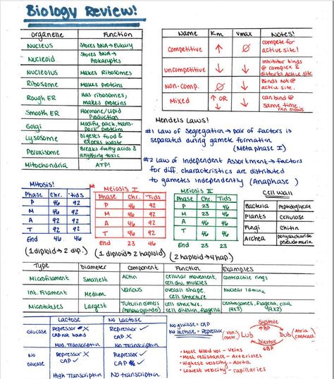 Mcat Studying, Mcat Notes, Biochemical Pathways, Organic Reactions, Biochemistry Notes, Notes For Students, Mcat Prep, Mcat Study, Psychology Notes