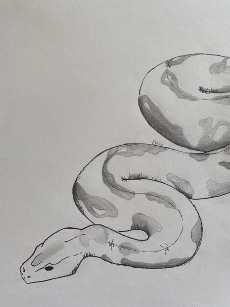 Snake Sketch Easy, Snake Patterns Drawing, Drawing Ideas Snake Easy, Snake Realistic Drawing, Sea Snake Drawing, How To Draw A Snake Head, Ular Art, Coiled Snake Drawing, How To Draw A Snake Step By Step