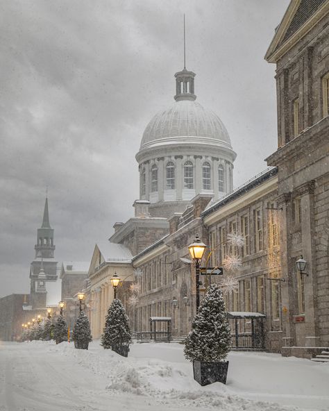 Montreal Winter Aesthetic, Mount Royal Montreal, Old Montreal Aesthetic, Montreal Photography, Visit Montreal, Snowy Morning, Montreal Travel, Canada City, Mount Royal