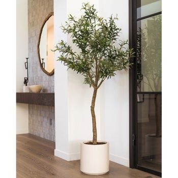 Faux 6.5' Olive Tree Olivier En Pot, Artificial Olive Tree, Olive Plant, Painted Trunk, Indoor Tree, Tree Planters, Faux Olive Tree, Artificial Foliage, Artificial Flowers And Plants