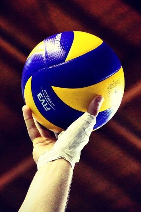 Volleyball Tumblr, Volleyball Images, Olympic Fencing, Volleyball Backgrounds, Volleyball Posters, Volleyball Photography, Volleyball Wallpaper, Volleyball Photos, Volleyball Poses