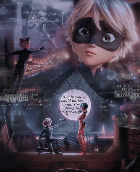 Chat Noir Awakening, Miraculous Ladybug Movie Awakening, Miraculous Fanfic, Ladybug Quotes, Awakenings Movie, Catnoir And Ladybug, Anime Love Quotes, Doremon Cartoon, Ladybug Movie