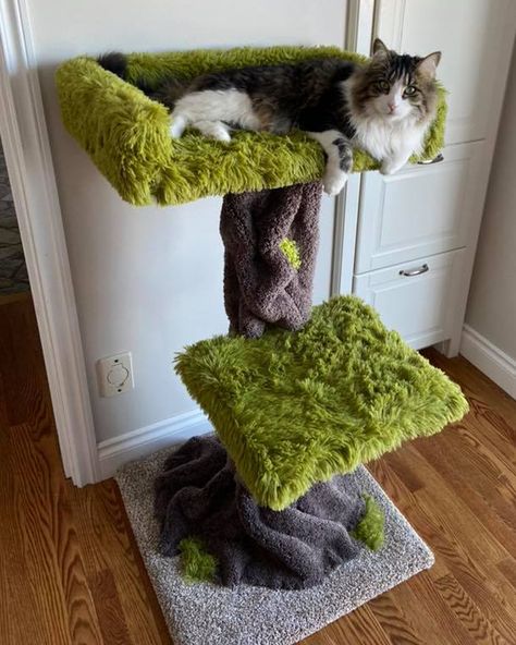 Cat Tree Ideas, Custom Cat Trees, Cat Room Decor, Lethbridge Alberta, Katt Grejer, Colorful Hairstyles, Cat Tree House, Diy Cat Tree, Cat Towers