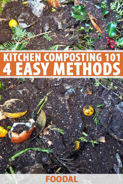 Cooking Knowledge, Composting Food Scraps, Composting 101, Kitchen Compost, Kitchen Scraps, How To Make Compost, Worm Farm, Yard Waste, Garden Compost