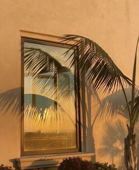 Shadow Play, Beige Aesthetic, Blogger Templates, Bastille, Sea World, Neutral Colour Palette, Golden Hour, Beautiful World, Palm Tree