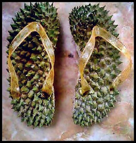 FOR SALE LIMITED EDITION: Flip flops made of DURIAN peel  therapeutic for foot & ankle pain , can be used for foot massage & scrub, relieves arthritis & ankle sprain, exfoliates calluses, and helps develop arch for flat foot!  HURRY! ORDER NOW WHILE SUPPLIES LAST DUE TO SEASONAL AVAILABILITY Funny Shoes, Ankle Pain, Laughter The Best Medicine, Ex Love, Sprained Ankle, Cracked Heels, Foot Soak, Interesting Pictures, Epsom Salt