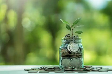 Interested in green investments and sustainable finance? 🌱 Our latest blog post explores the growing trend towards environmentally conscious investing. Discover how you can make a positive impact while securing your financial future:   #GreenInvestments #SustainableFinance #ImpactInvesting Sustainable Finance, Financially Secure, Financial Security, Environmentally Conscious, Budgeting Tips, Consciousness, Sustainability, Blog Post, Budgeting