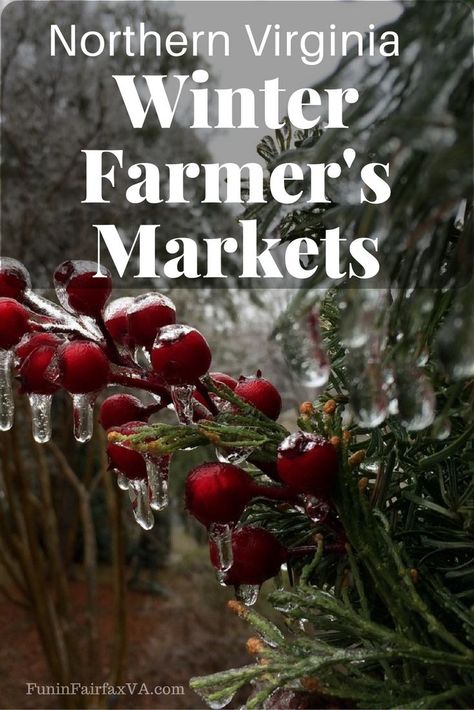 Northern Virginia Winter Farmers Markets Winter Farmers Market, Winter Produce Guide, Massanutten Virginia Winter, Virginia Beach Winter, Hikes In Virginia, Best Hikes In Virginia, Virginia Fall, Virginia Travel, Northern Virginia