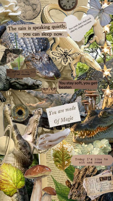 #crocodile #alligator #swampcore #natureaesthetic Alligator Wallpaper, Crocodiles, Nature Aesthetic, Alligator, Animals