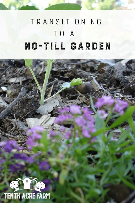 Have you heard about the ecological benefits of the no-till garden? At first, the no-till garden is simply trading one activity (tilling) for another (supporting a soil ecosystem). However, you’ll get more joy and satisfaction out of learning how to fertilize, support, and protect your soil. Learn how to make the transition! Suburban Permaculture, Regenerative Gardening, Suburban Homesteading, Homestead Projects, Homestead Gardening, Modern Homestead, Summer Gardening, Fall Gardening, Modern Homesteading