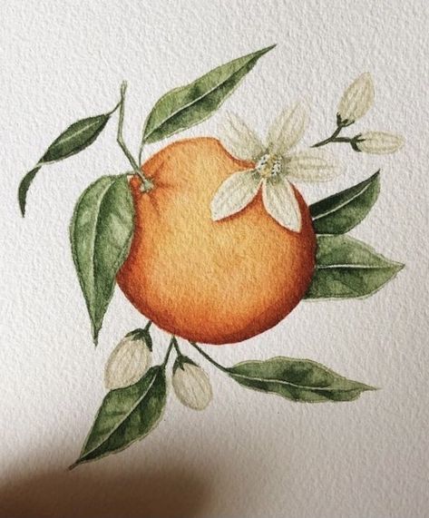 Orange Branch Painting, How To Paint Oranges, Orange Blossom Painting, Orange Watercolor Painting, Watercolour Orange, Oranges Painting, Watercolor Oranges, Orange Drawing, Oranges Art