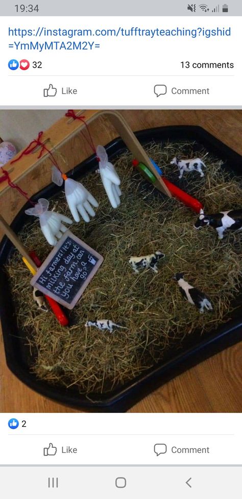 Farm Messy Play, Farm Tuff Tray Ideas, Farm Eyfs, Farmer Duck, Community Helpers Preschool Activities, Messy Play Activities, Table Activities, Farm Animals Activities, Tuff Spot