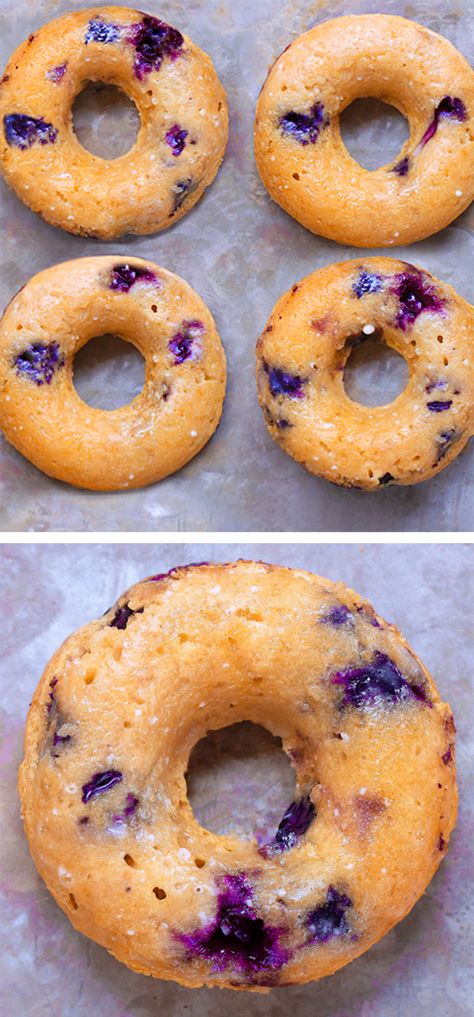 Blueberry Bagels, Blueberry Donuts, Weight Watcher Desserts, Healthy Baked, Blueberry Recipes, Baked Donuts, Sugar Free Desserts, Sugar Free Recipes, Donut Recipes