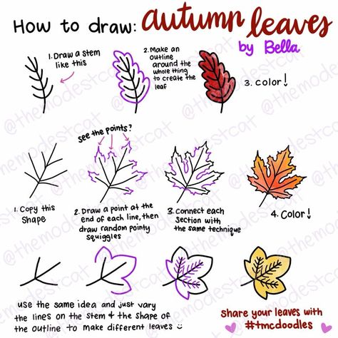 Fall Leaves Drawing Step By Step, Autumn Doodles Drawings, Drawing Leaves Step By Step, November Chalkboard, Autumn Drawing Ideas, Fall Leaves Drawing, Autumn Doodles, Halloween Doodles, Chalkboard Calendar