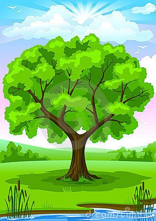 Summer Landscape With Old Tree Stock Vector - Illustration of nature, single: 4087125 Summer Drawings, Artsy Background, Colorful Borders Design, Cartoon Trees, Picture Tree, Summer Trees, Kids Background, Colorful Parrots, Old Tree