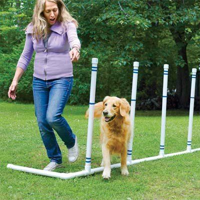 Build a Pet Agility Course Diy Dog Agility Course, Dog Agility Course Diy, Dog Agility Course, Agility Training For Dogs, Easiest Dogs To Train, Agility Training, Dog Training Techniques, Dog Crafts, Dog Hacks