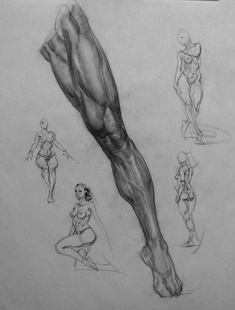 Life Drawings, Human Anatomy Drawing, Body Sketches, Human Figure Drawing, Human Anatomy Art, Anatomy Sketches, Anatomy For Artists, Figure Sketching, Anatomy Drawing