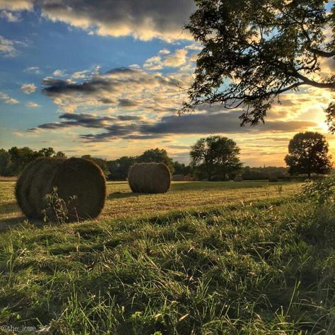 Kentucky September 6, 2015. Bluegrass Country. Woods Aesthetic, My Old Kentucky Home, Kentucky, Golf Courses, Natural Landmarks, Travel, Nature