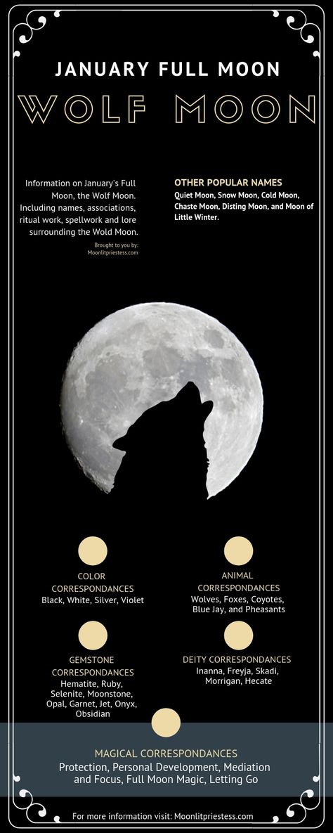 January Full Moon Ritual, Moon Wolf, January Witchcraft, Wolf Moon Journal Prompts, Cold Moon Correspondences, Wolf Moon Ritual, Wolf Full Moon Ritual, January Moon, January Full Moon