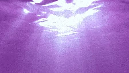 Lavender Aesthetic Banner, Lilac Gif, Aesthetic Banner Gif, Ocean Gif, Purple Ocean, H P Lovecraft, Lavender Aesthetic, Pretty Backgrounds, Banner Gif