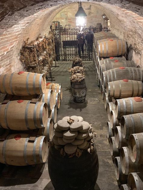 Oak barrels in an old underground wine cellar royalty free stock images Wine Cellar With Barrels, Old Wine Cellar, Underground Wine Cellar, Barrel Room, Montepulciano, Oak Barrel, Diy Dollhouse Furniture, Under Stairs, Medieval Castle