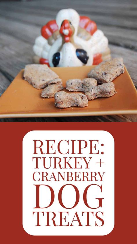 10 Easy Thanksgiving Dog Treat Recipes Easy Fall Dog Treats, Thanksgiving Treats For Dogs, Thanksgiving Meal For Dogs, Cranberry Dog Treats Recipes, Simple Pumpkin Dog Treats, Cranberry Dog Treats, Thanksgiving Dog Treats, Turkey Dog Treats, Healthy Dog Biscuits