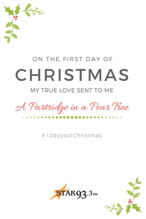 🎄 12 Days of Christmas 🎁 On the first day of Christmas my true love sent to me __________  #12daysofChristmas #CincyChristmasSTAR933 My True Love, 1st Day, 12 Days Of Christmas, Christmas Quotes, 12 Days, First Day, True Love, One Day, The First