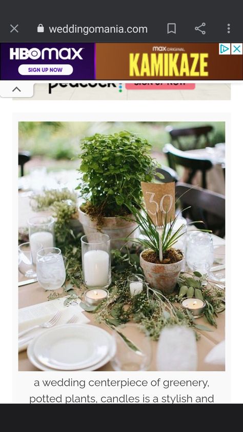 Spider Plant Centerpiece Wedding, Potted Plant Centerpieces, Tea Lights Centerpieces, Plant Centerpieces, Floating Candle Centerpieces, Green Centerpieces, Candle Wedding Centerpieces, Plant Crafts, Centerpiece Wedding