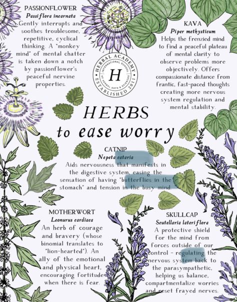 Naturopathy Aesthetic, Garden Witchcraft, Forest Foraging, Wicca Aesthetic, Herb Benefits, Medicinal Herbs Remedies, Aesthetic Magic, Medicine Garden, Witch Things