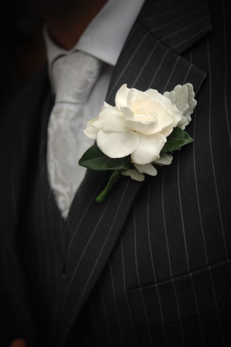 gardenia buttonhole by flos florum, malvern www.flosflorum.com.au Gardenia Bouquet, Gardenia Wedding, Bouquet Recipe, Burgundy Bouquet, Bridal Expo, April Wedding, November Wedding, Prom Flowers, Plan My Wedding