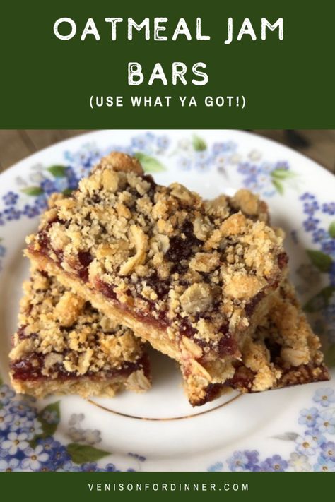 Oatmeal Jam Bars, Recipe Using Jam, Jam Bar, Venison For Dinner, Jam Bars, Egg Free Cookies, Dried Fruit Mix, Oatmeal Bars, Bar Recipe