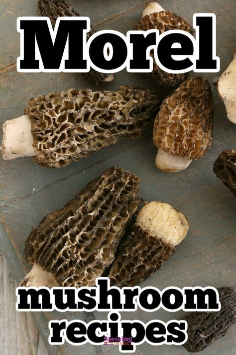 20 Best Morel Mushroom Recipes Dried Morel Mushroom Recipes, Mushroom Side Dish Recipes, Morel Mushroom Recipes, Caramelized Onion Pizza, Creamy Sauces, Mushroom Side Dishes, Mushroom Barley Soup, Truffle Pasta, Mushroom Cream Sauces