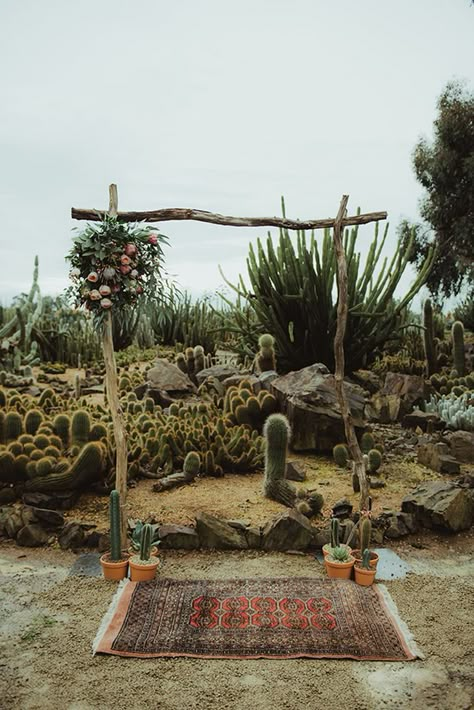 Wedding Cactus Decor, Cactus Centerpiece Wedding, Pioneertown Wedding, Cactus Wedding Decor, Western Backdrop, Boho Photoshoot, Disco Wedding, Cactus Wedding, Boda Mexicana