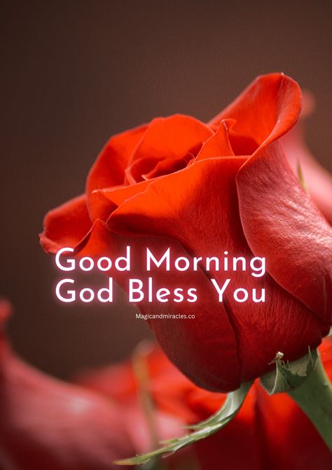 Good Morning God Bless You, Good Morning God, Friday Morning Quotes, Good Night Friends Images, Sweetheart Quotes, Morning Sweetheart, Motivational Bible Verses, Catholic Pictures, Good Morning Sweetheart Quotes