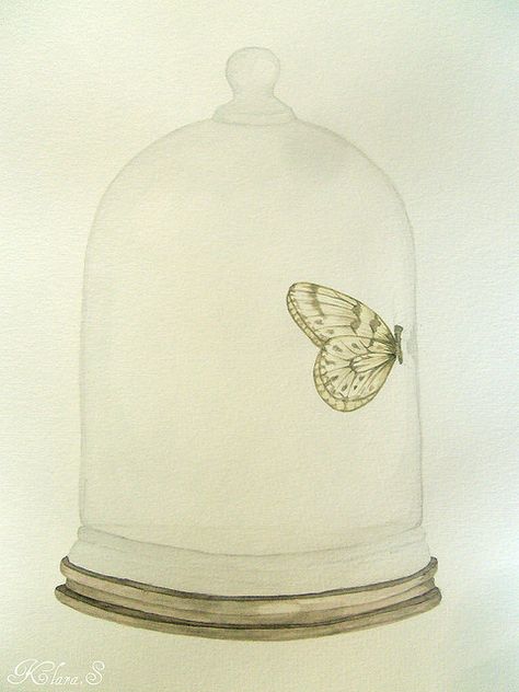 Klara S. Piano Tattoo, Tattoo Butterfly, Jar Art, Music Tattoos, The Bell Jar, Butterfly Drawing, Butterfly Kisses, Tree Tattoo, Trendy Tattoos