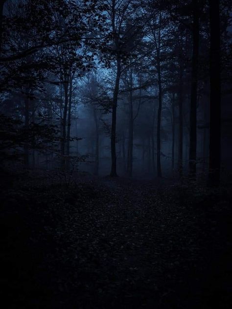 Gacha Backgrounds Outside Night, Backgrounds Outside, Gacha Backgrounds Outside, Dark Forests, Dark Forest Aesthetic, Creepy Backgrounds, Recurring Dreams, Gacha Backgrounds, Dark Woods